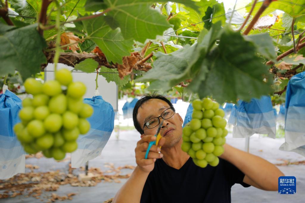 指尖捕鱼游戏最新版